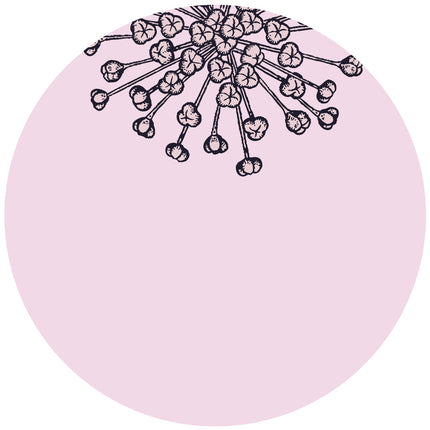 Collection image for: ROSA E LAMPONE