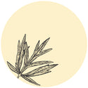 VANIGLIA E PEPE ROSA